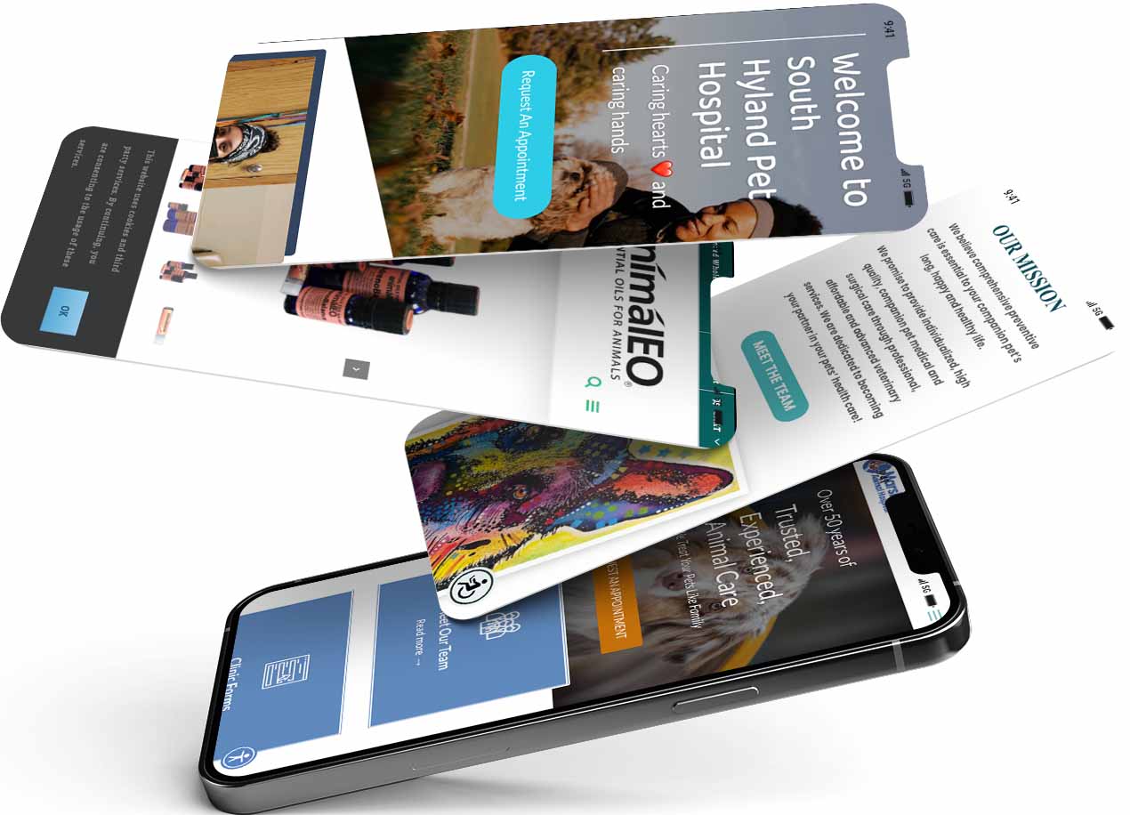 Unleashed Digital Mobile Website Examples